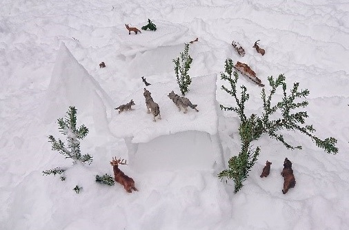 village_des_animaux_2.jpg Thumbnail