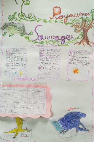 img_20250630_135001b.jpg Thumbnail